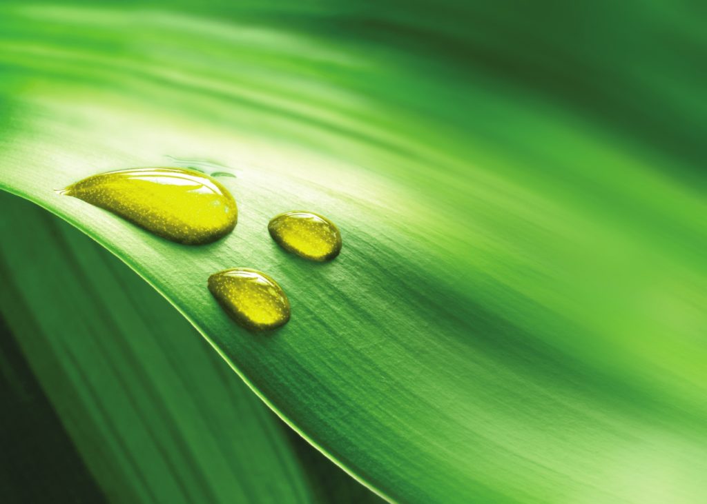 OLVEA Vegetable Oils - Goutte d'huile et fond vert