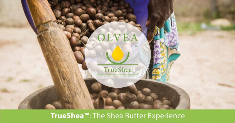 natural pure organic fair trade true shea butter