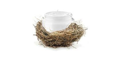 OLVEA - producteur ester karité produit cosmétique naturel