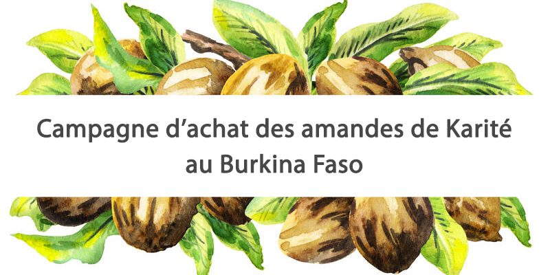 OLVEA - producteur beurre karité équitable burkina faso afrique