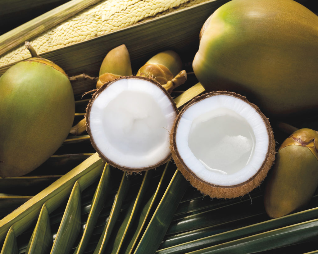 Coconut - Coprah Fruit and oil