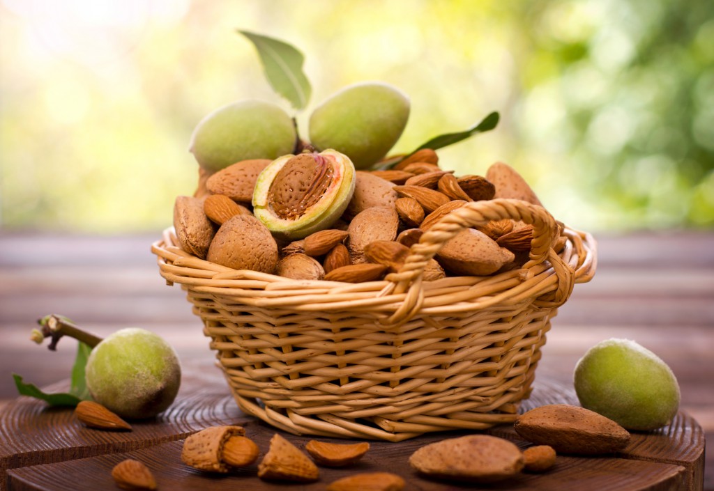 OLVEA - Amandes - Noix et fruits