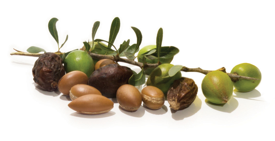 OLVEA - Fruits secs et noix d'argan