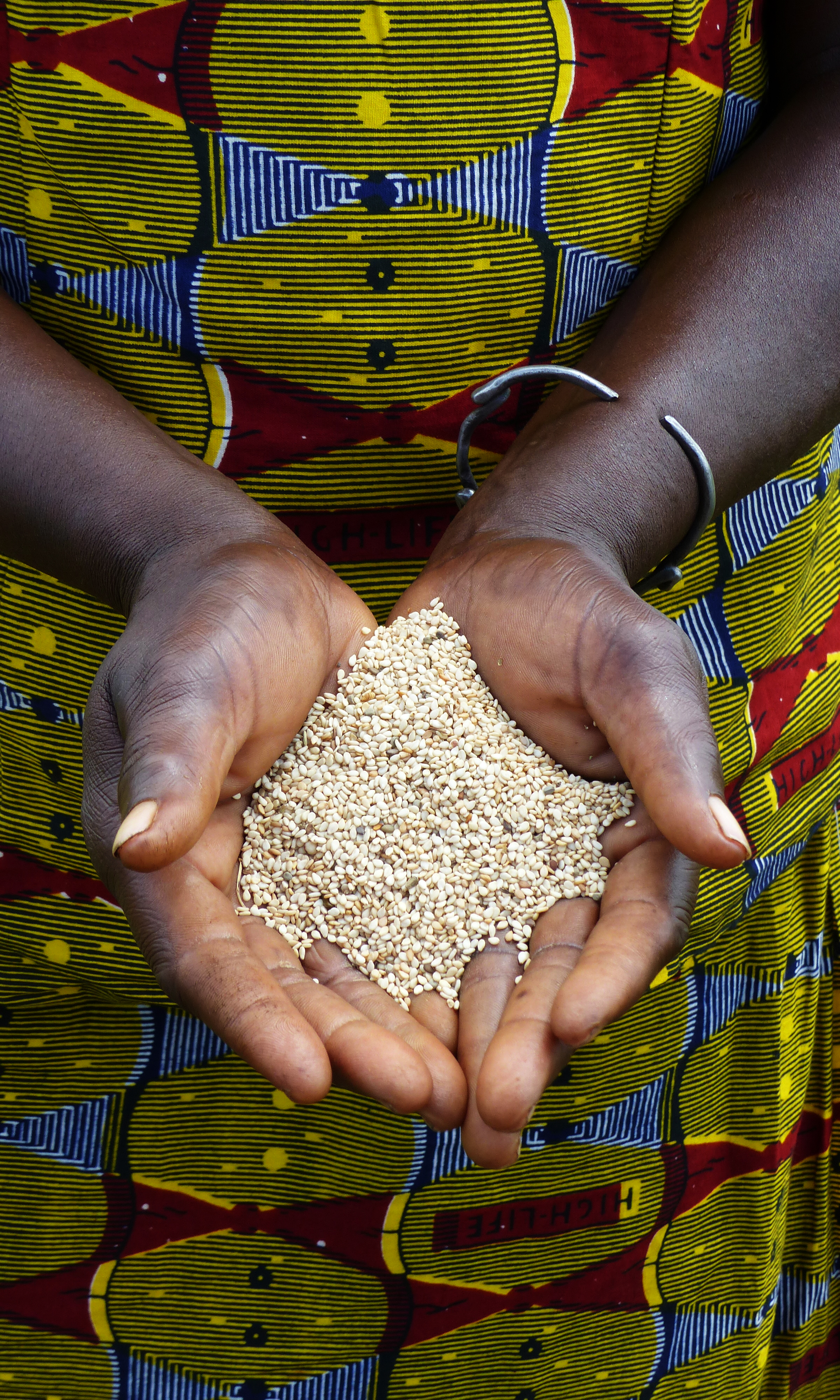 OLVEA - Graines de Sésame dans les mains d'une productrice - Burkina Faso