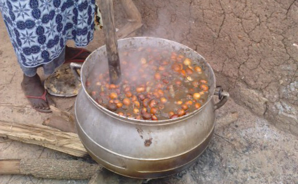 OLVEA - producteur beurre karité équitable biologique burkina faso afrique