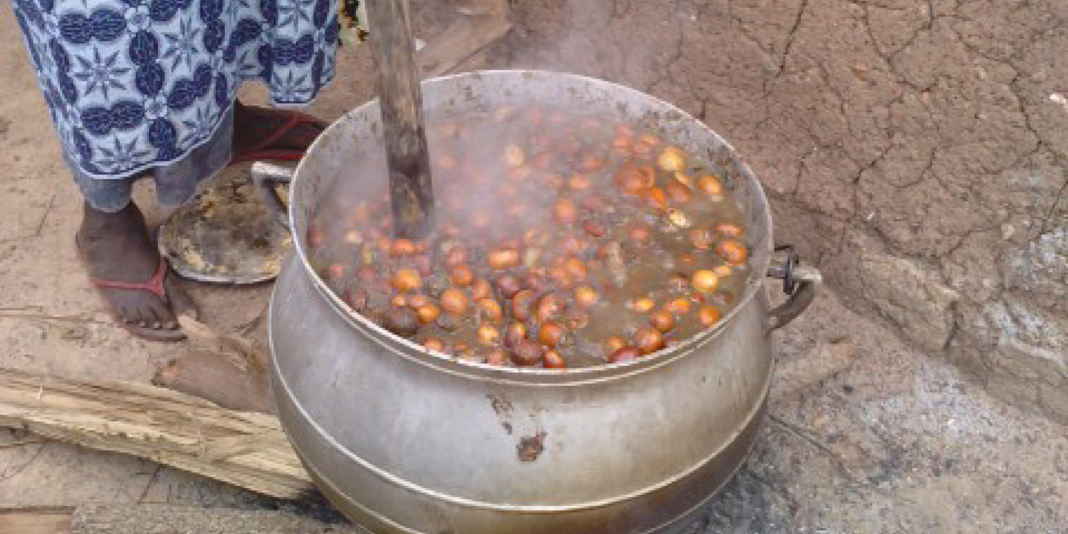 OLVEA - producteur beurre karité équitable biologique burkina faso afrique
