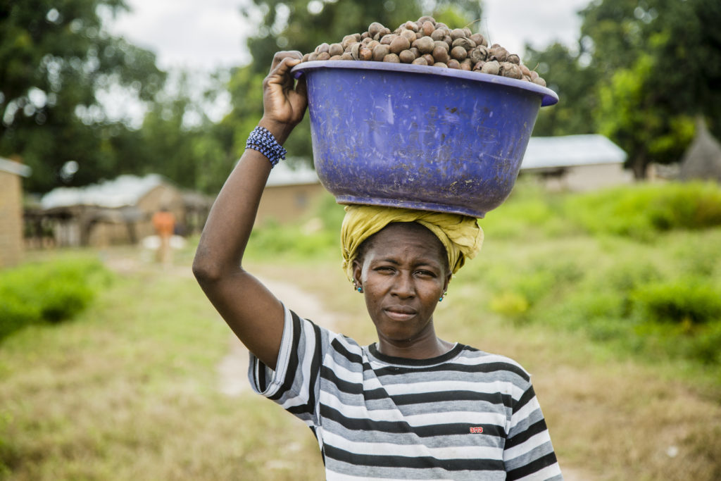 OLVEA - producteur beurre karité biologique fairtrade burkina faso