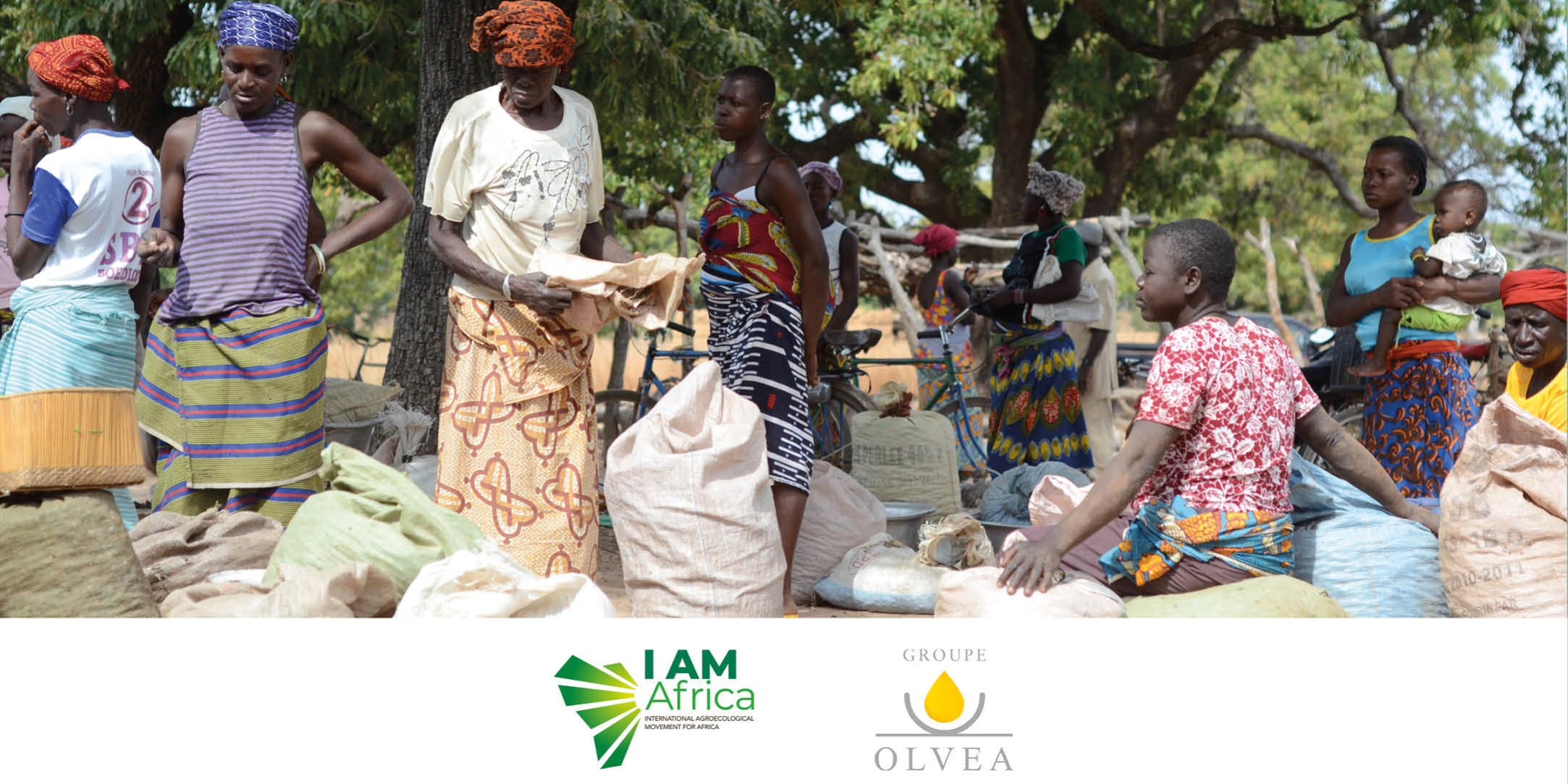 OLVEA is a signatory of the IAmAfrica charter for sustainable development in Africa