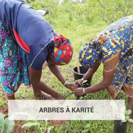 OLVEAct With Us - Fonds de Developpement des filieres equitables - Fair For Life - Plantation arbres à Karite