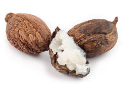 three shea nuts, one is filled with butter.