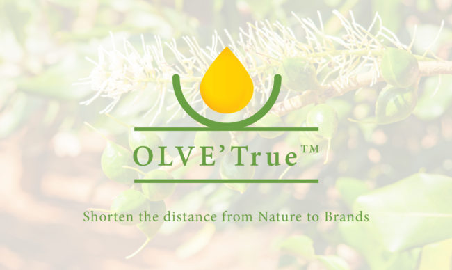 OLVETrue