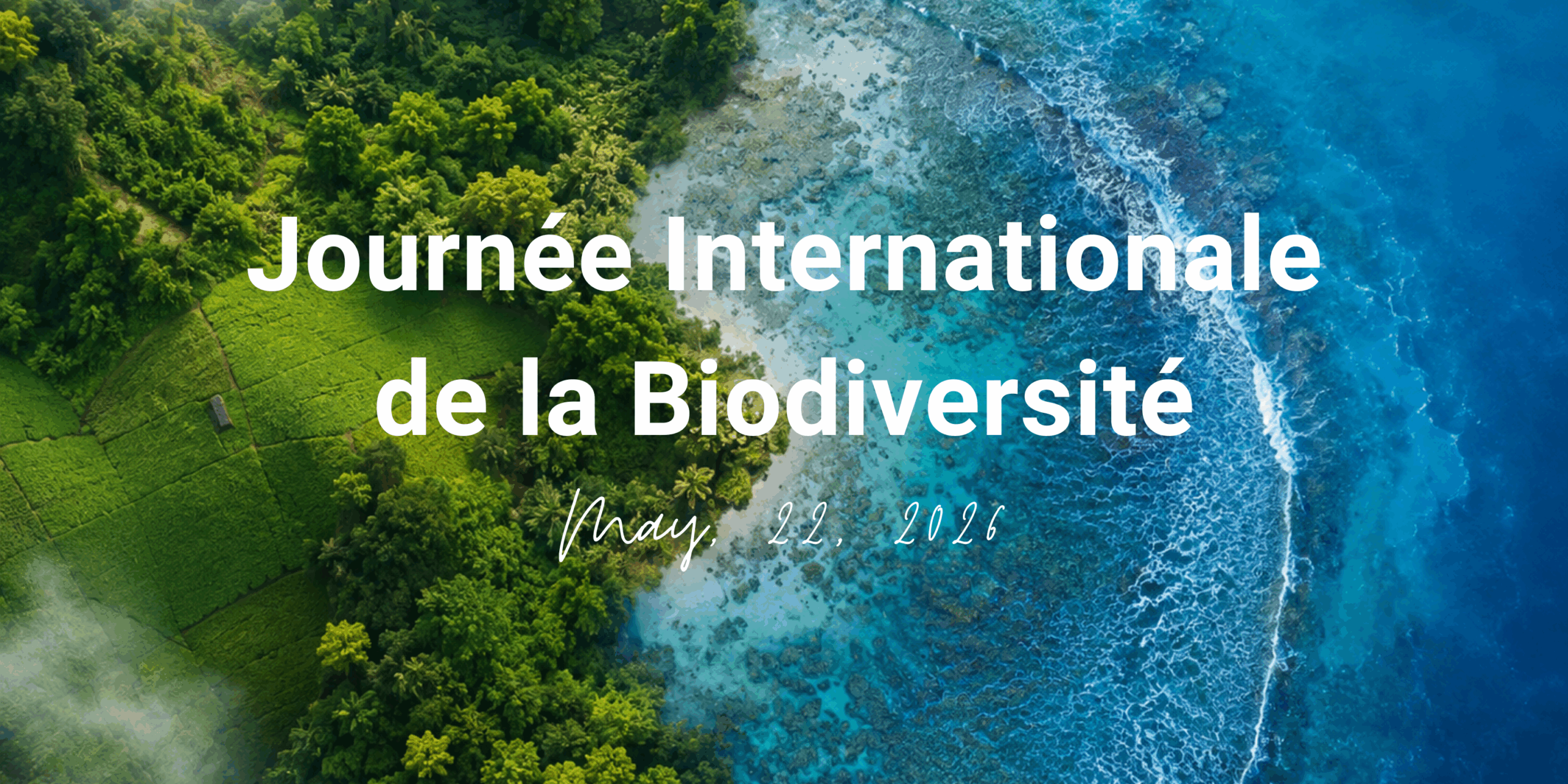 Biodiversité : comment OLVEA agit concrètement à travers ses filières marines et végétales Biodiversité : comment OLVEA agit concrètement à travers ses filières marines et végétales