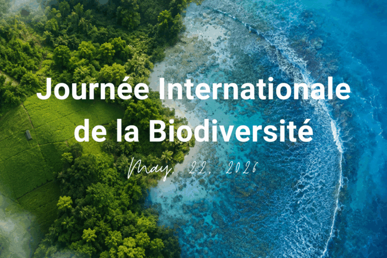 Biodiversité : comment OLVEA agit concrètement à travers ses filières marines et végétales